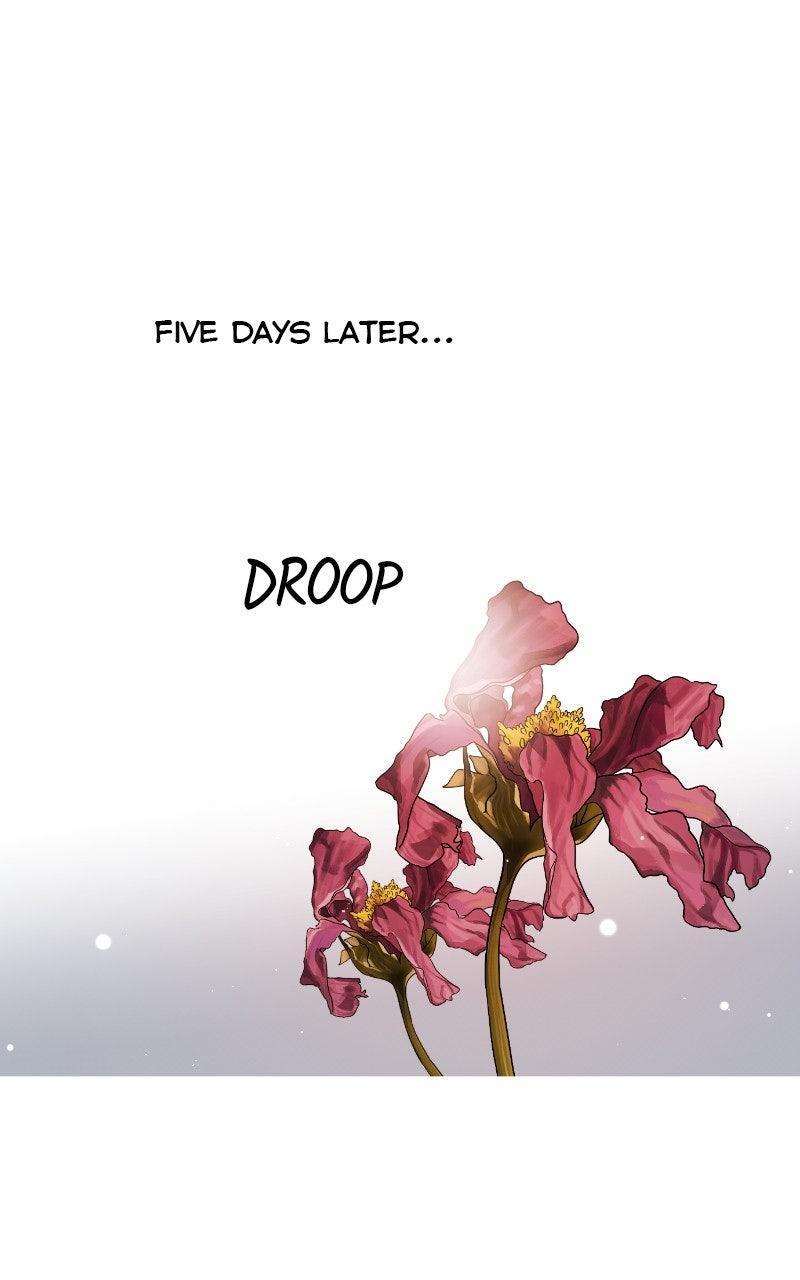 Read A Not So Fairy Tale Manga Online