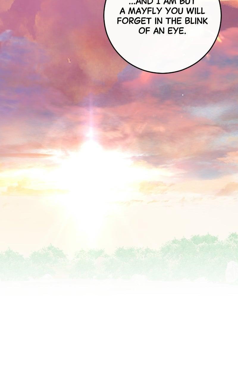 Read A Not So Fairy Tale Manga Online