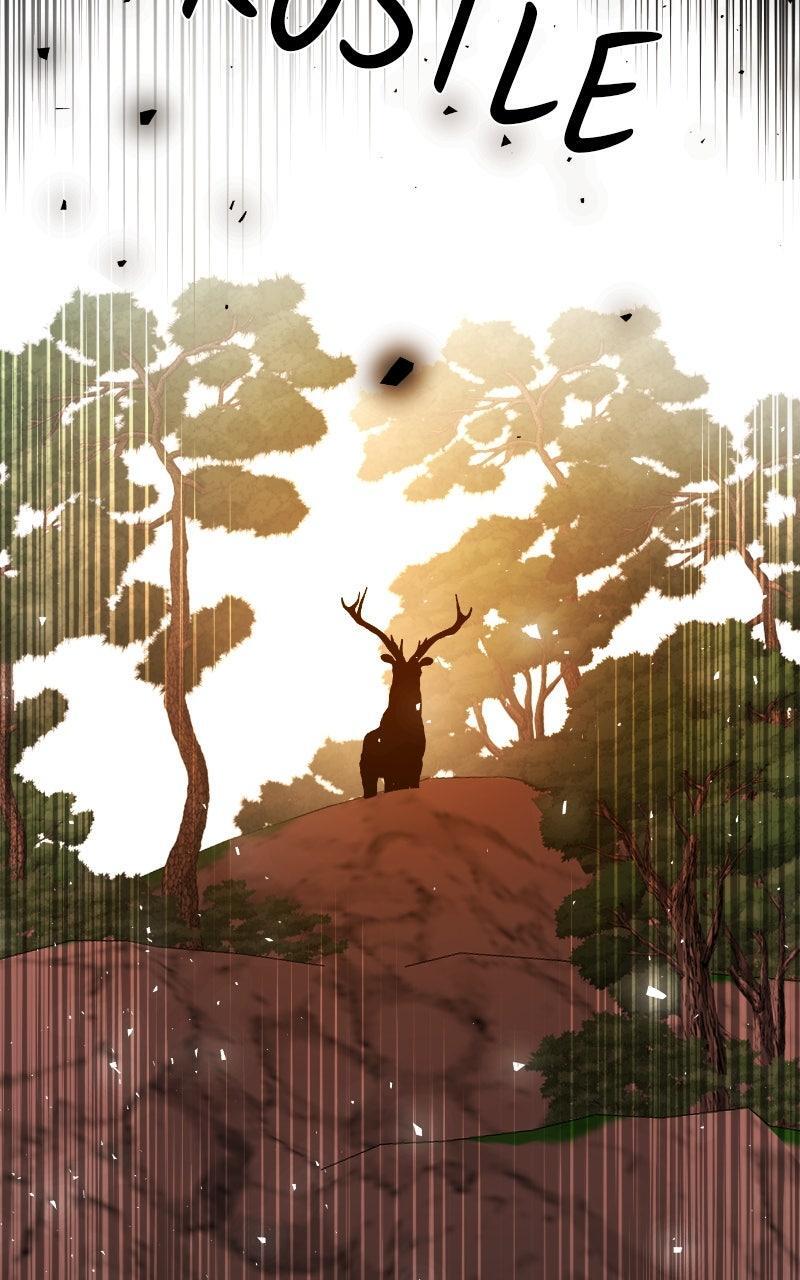 Read A Not So Fairy Tale Manga Online