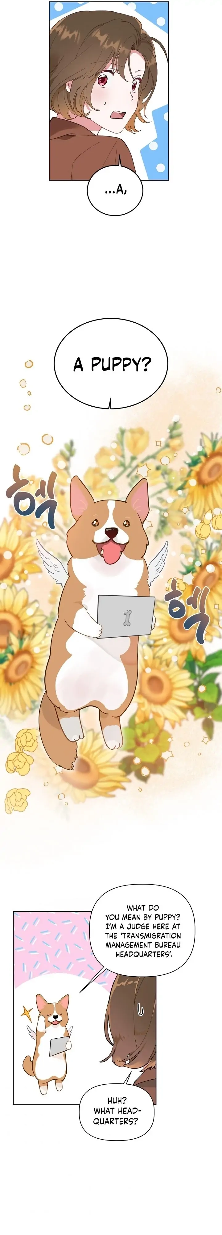 Read A Transmigrator's Privilege Manga Online