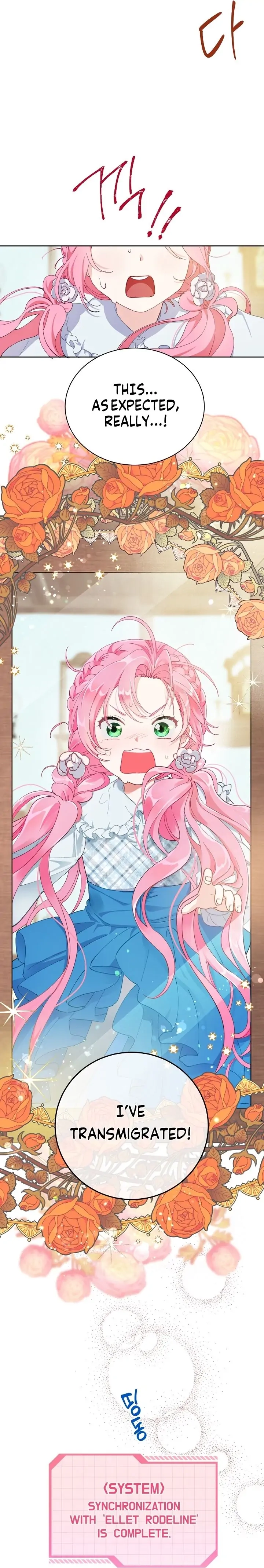 Read A Transmigrator's Privilege Manga Online