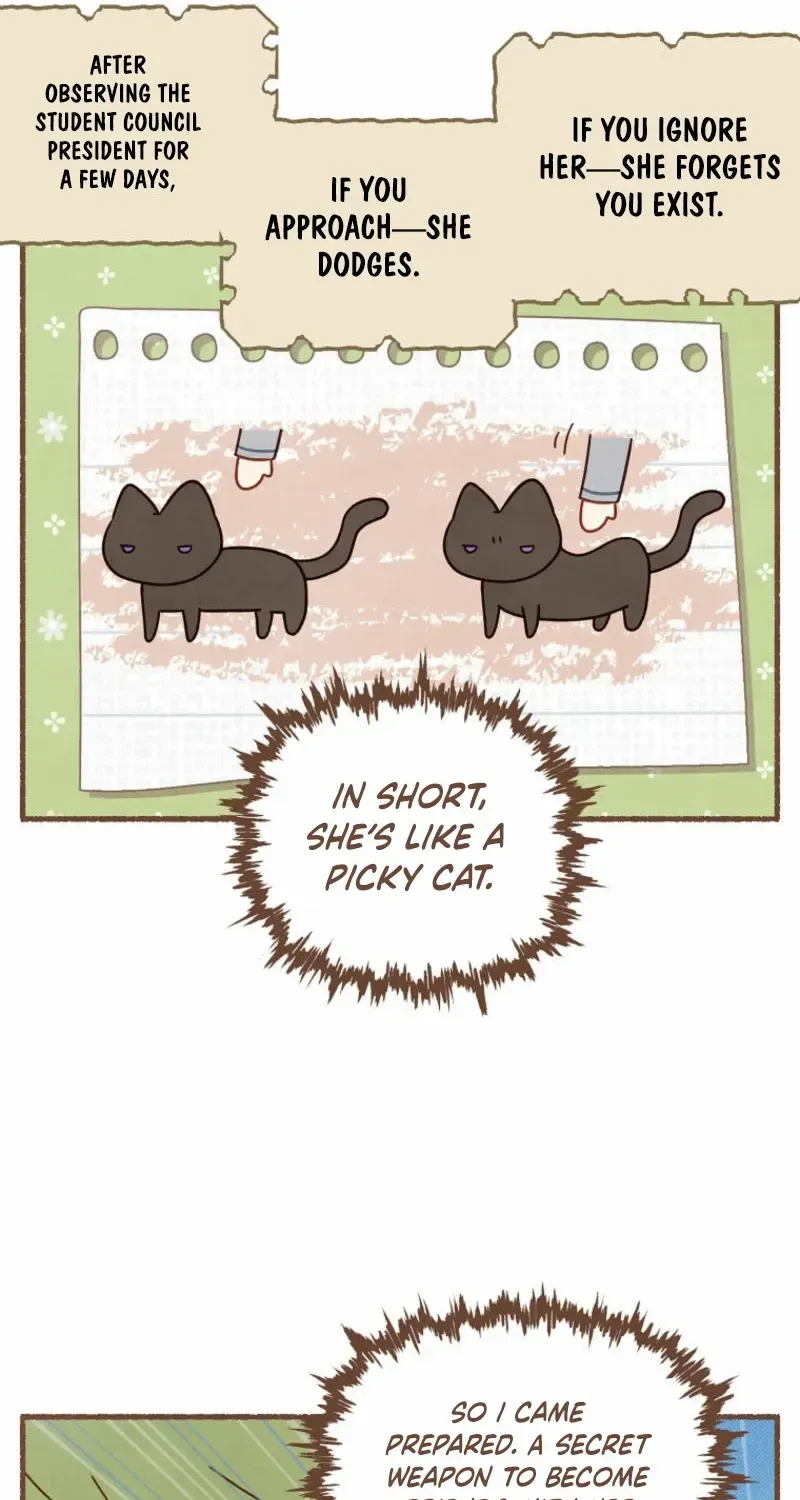 Read Actually I Was the Real One Manga Online