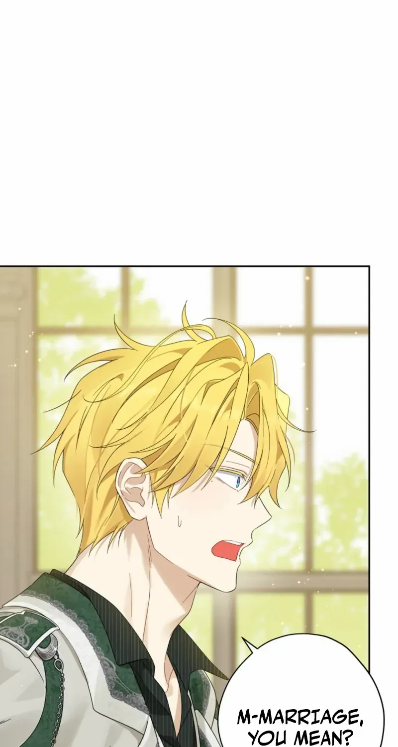 Read Actually I Was the Real One Manga Online