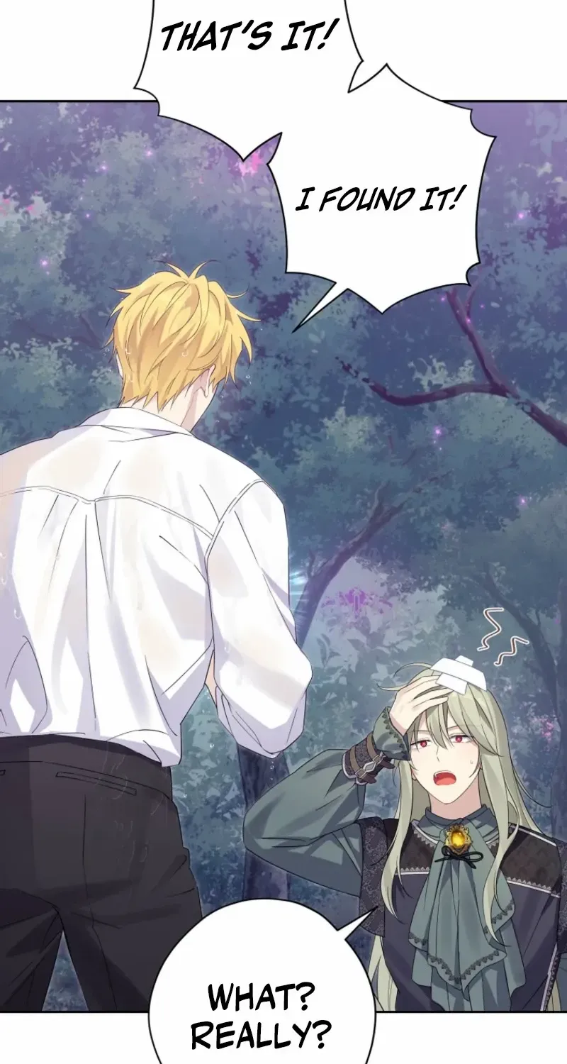 Read Actually I Was the Real One Manga Online