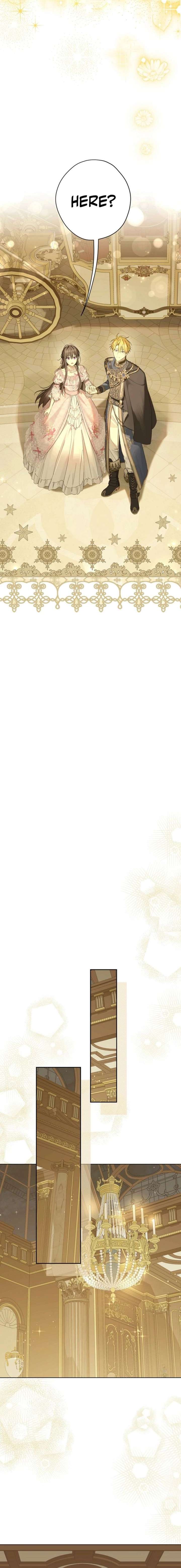 Read Actually I Was the Real One Manga Online