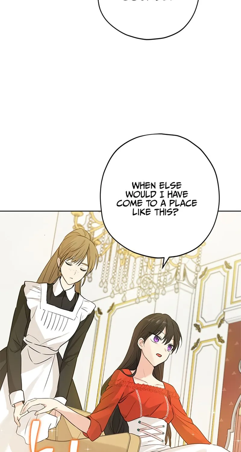 Read Actually I Was the Real One Manga Online