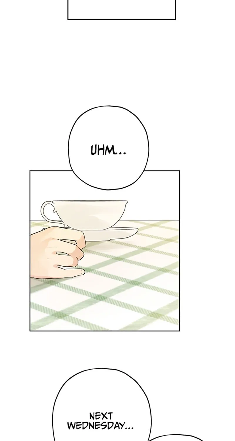 Read Actually I Was the Real One Manga Online