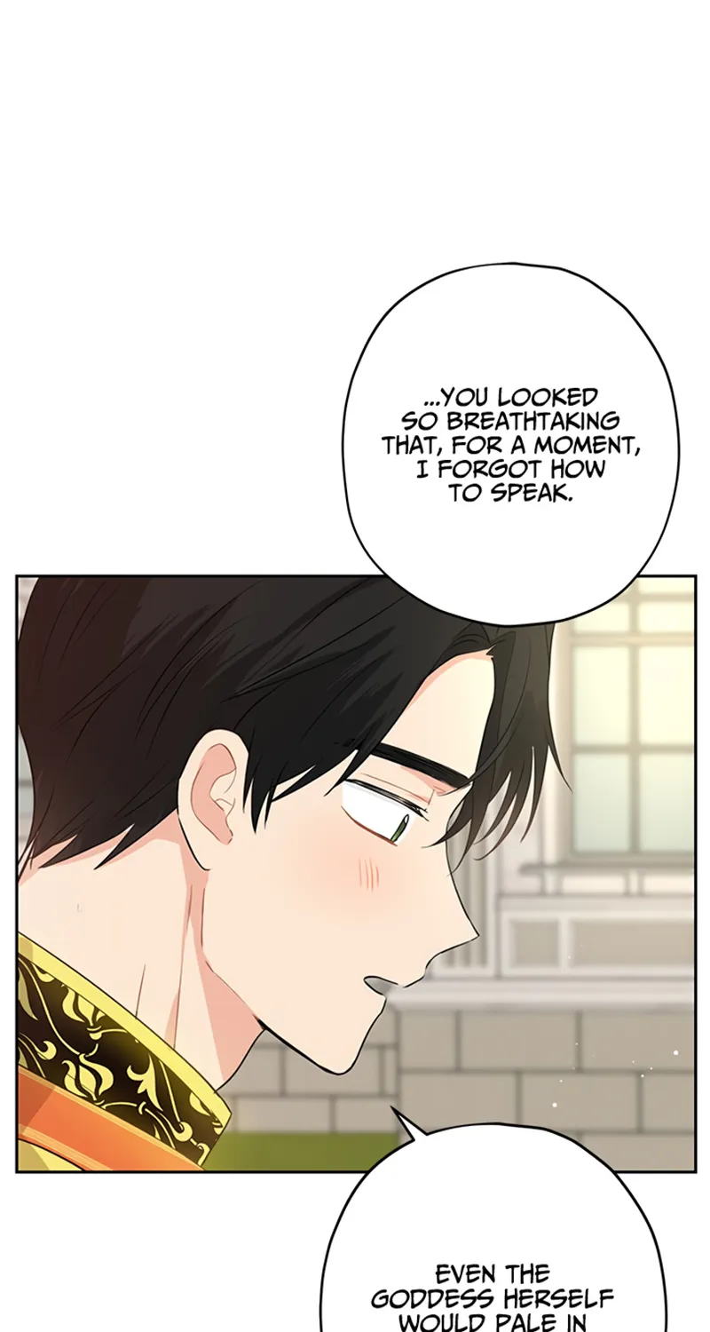 Read Actually I Was the Real One Manga Online