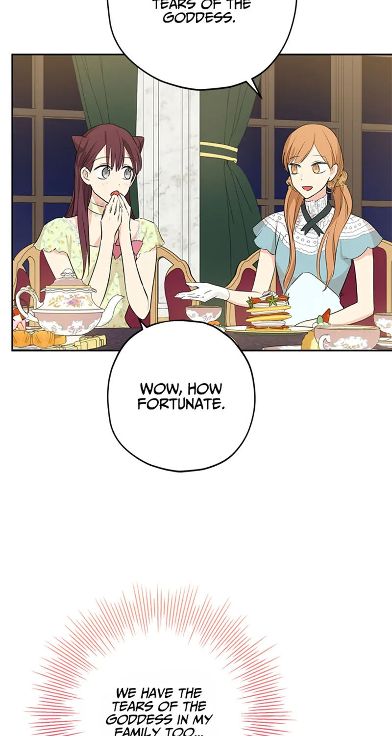 Read Actually I Was the Real One Manga Online