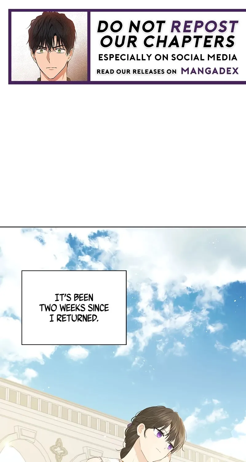 Read Actually I Was the Real One Manga Online