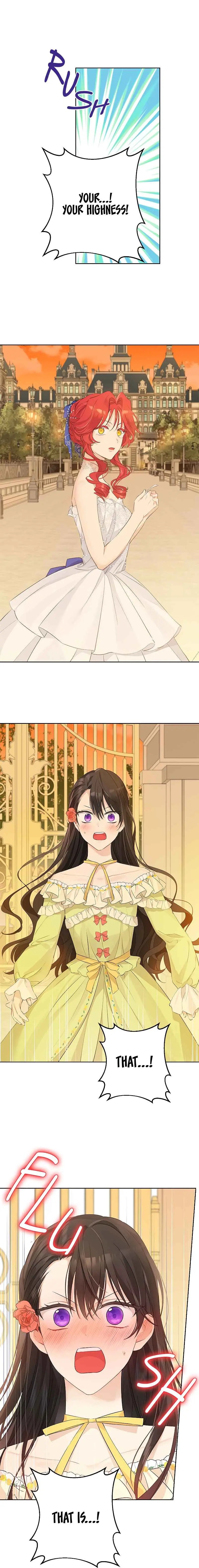 Read Actually I Was the Real One Manga Online