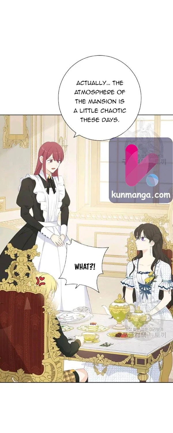 Read Actually I Was the Real One Manga Online