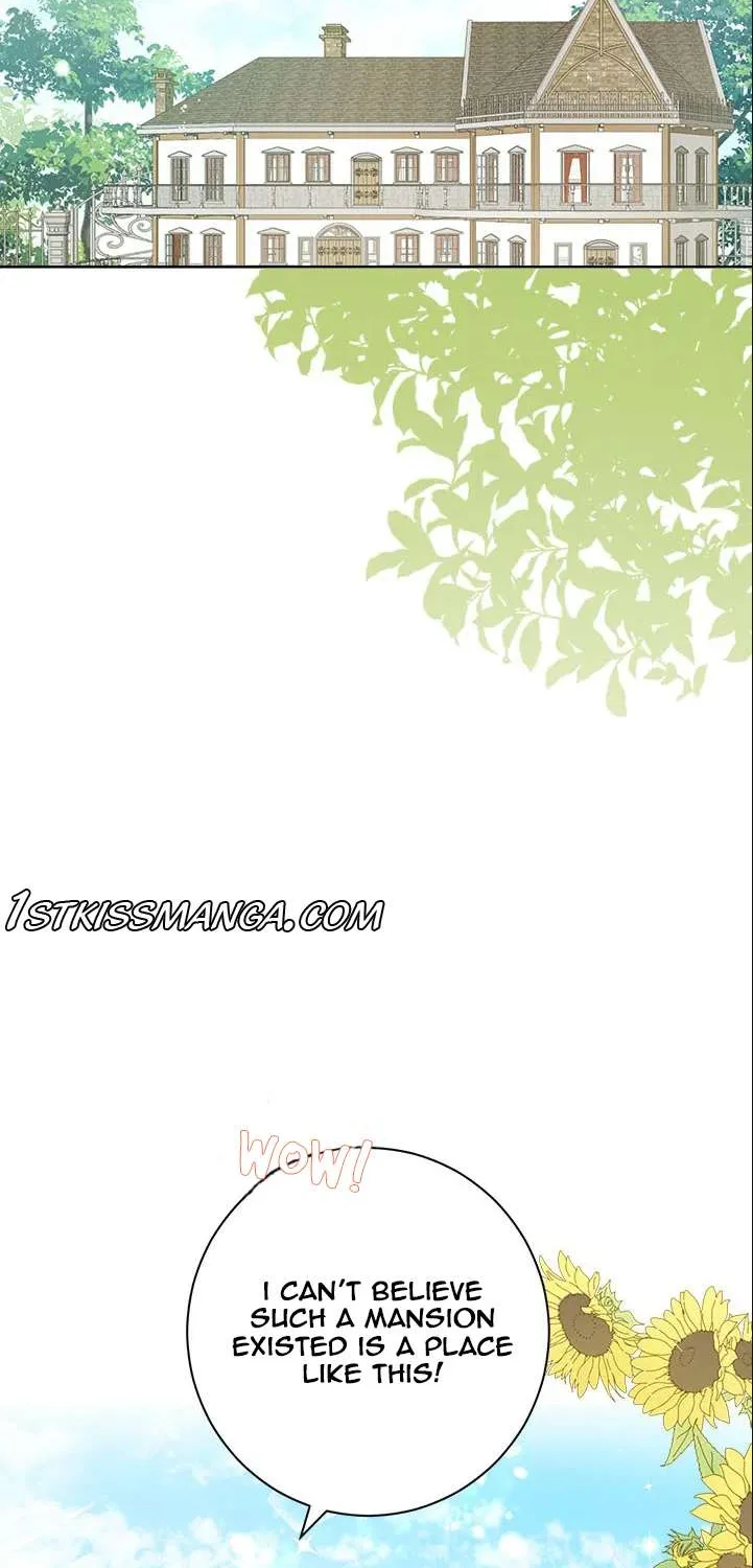 Read Actually I Was the Real One Manga Online