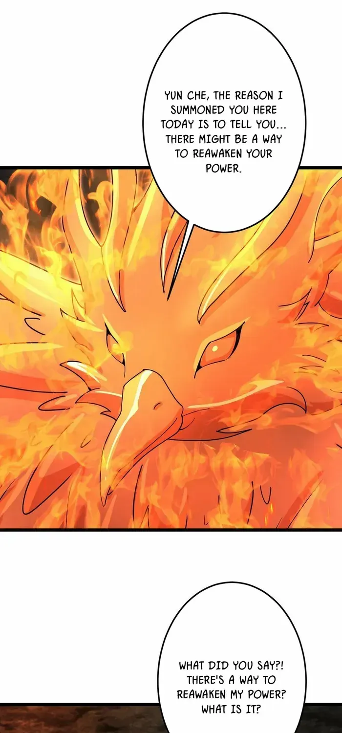 Read Against The Gods Manga Online
