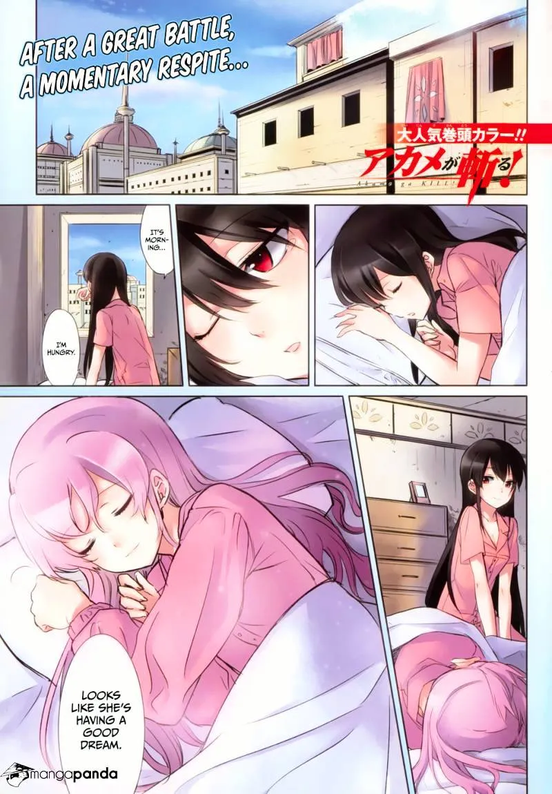 Read Akame Ga Kill! Manga Online