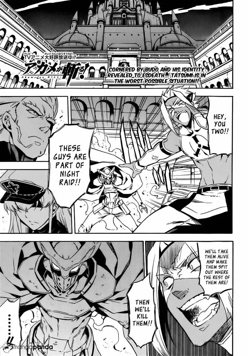 Read Akame Ga Kill! Manga Online