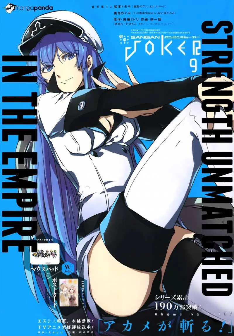 Read Akame Ga Kill! Manga Online