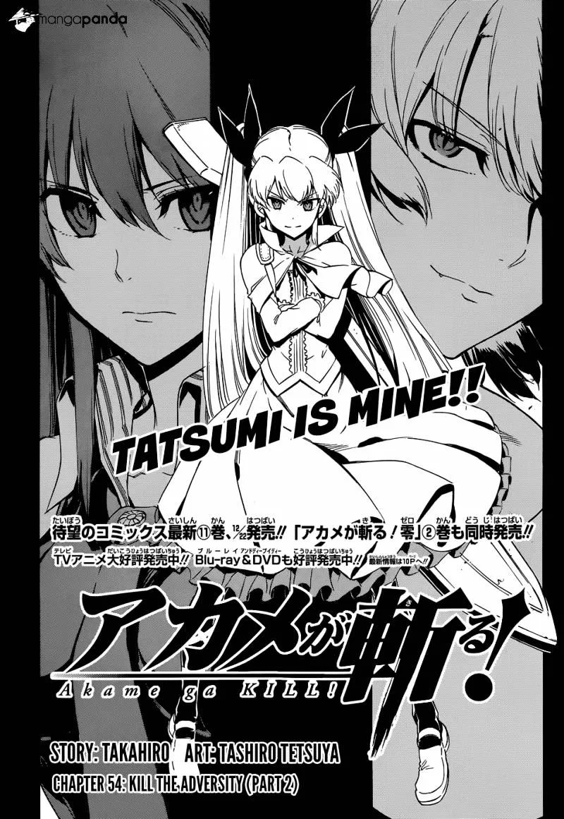 Read Akame Ga Kill! Manga Online