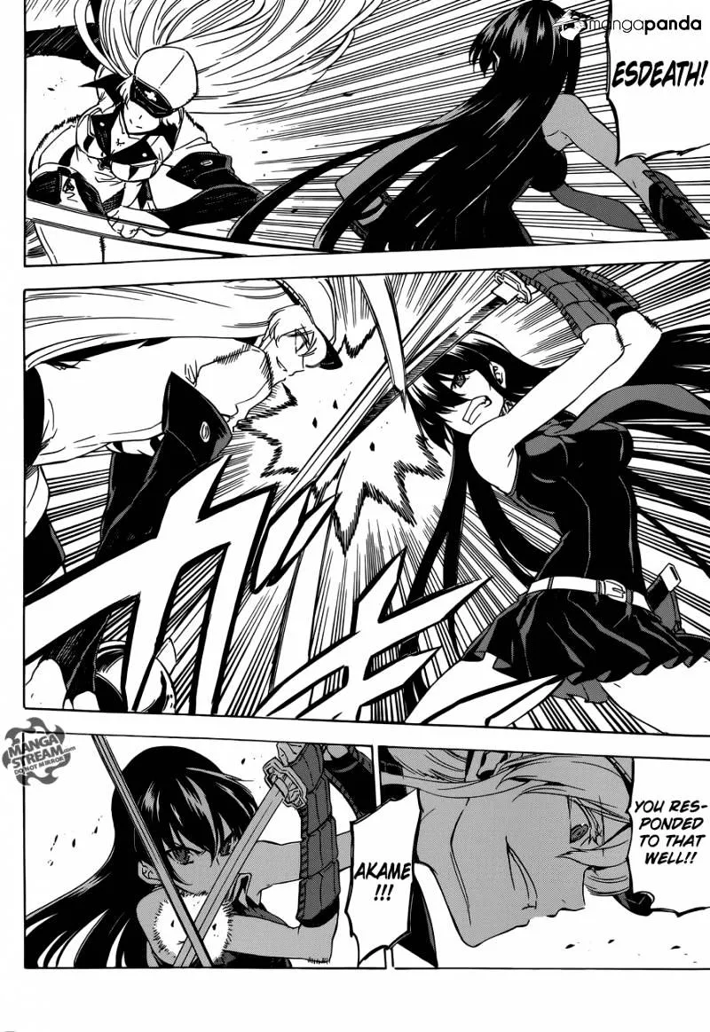 Read Akame Ga Kill! Manga Online