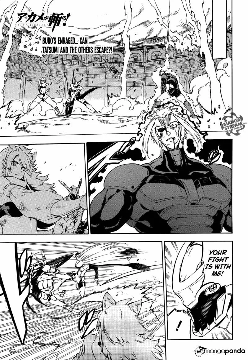 Read Akame Ga Kill! Manga Online