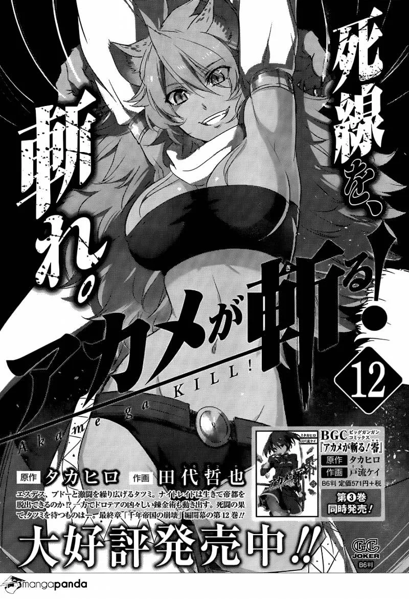 Read Akame Ga Kill! Manga Online