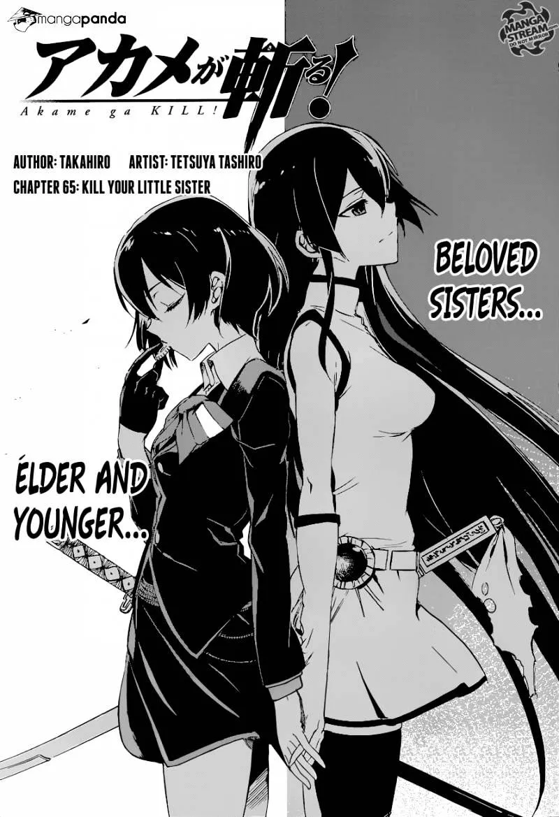 Read Akame Ga Kill! Manga Online
