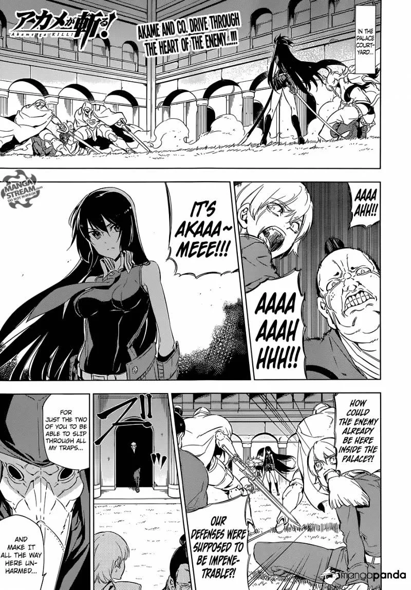 Read Akame Ga Kill! Manga Online