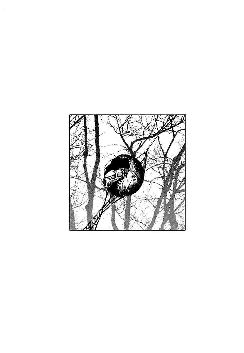 Read Alien 9 Complete Manga Online