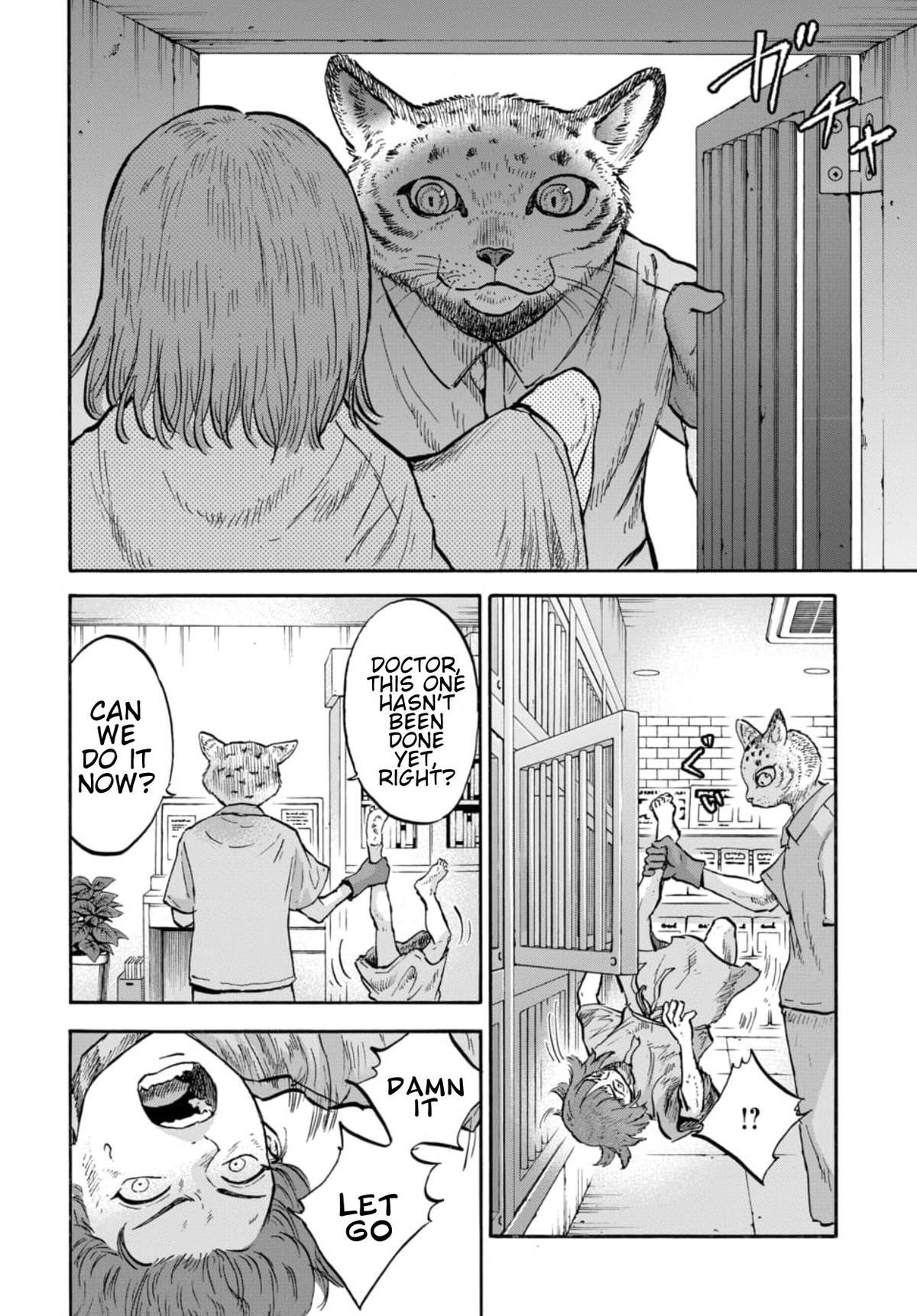 Read Animan Manga Online