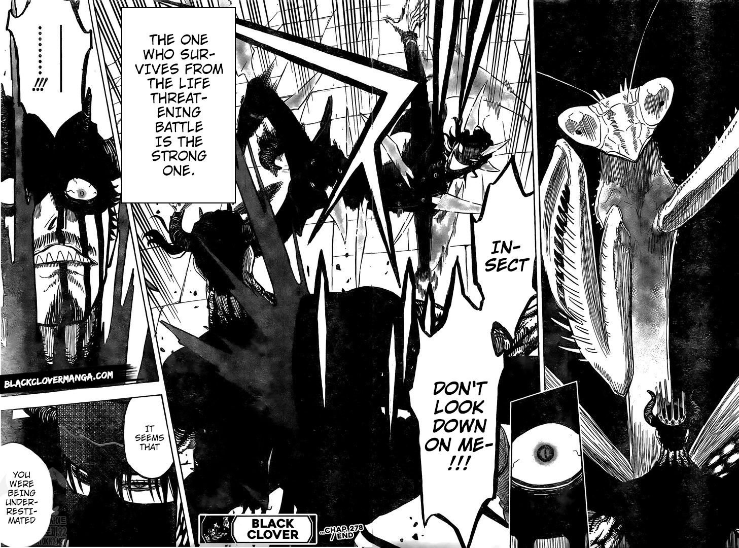 Read Black Clover Manga Online