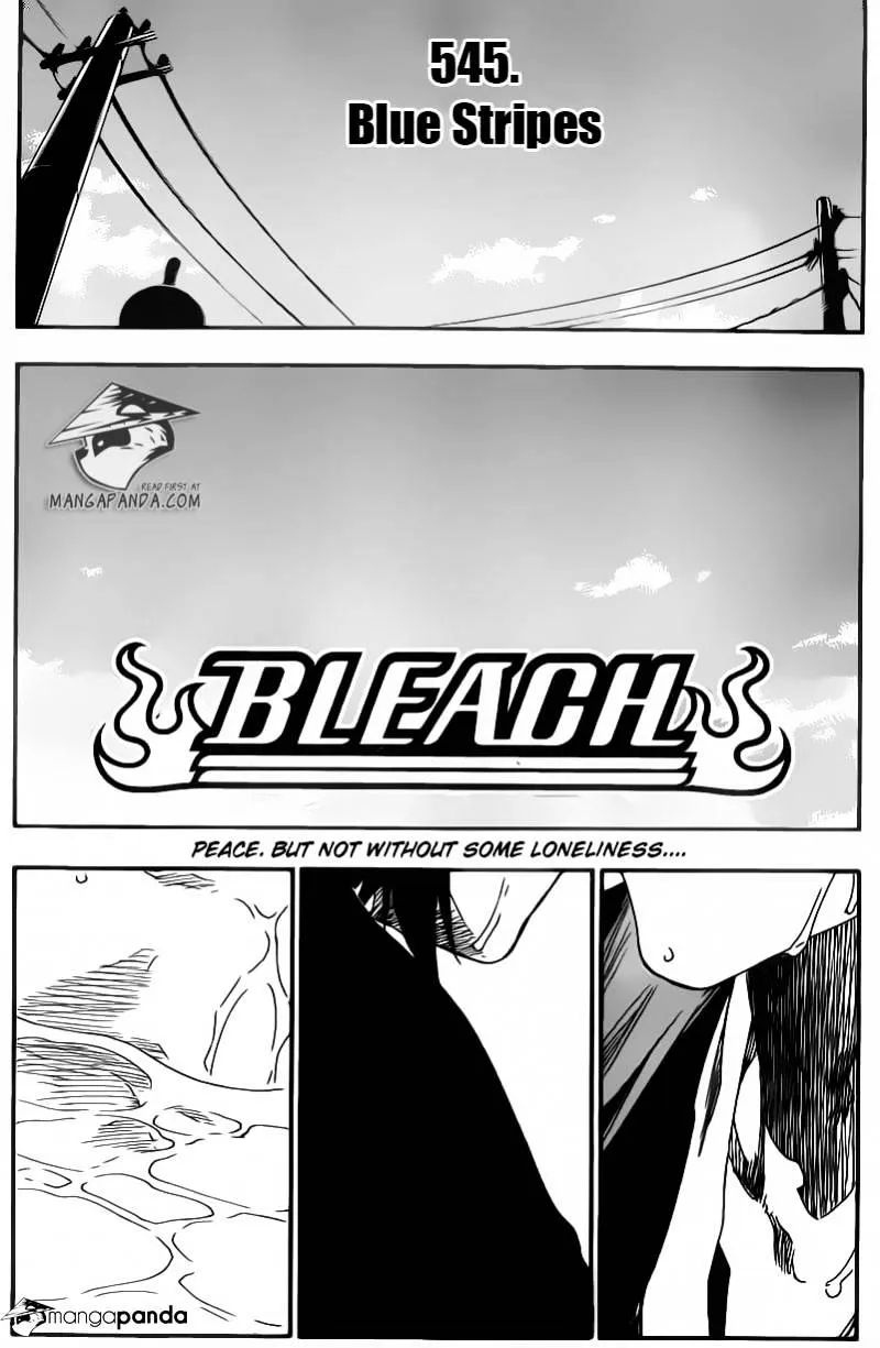 Read Bleach Manga Online