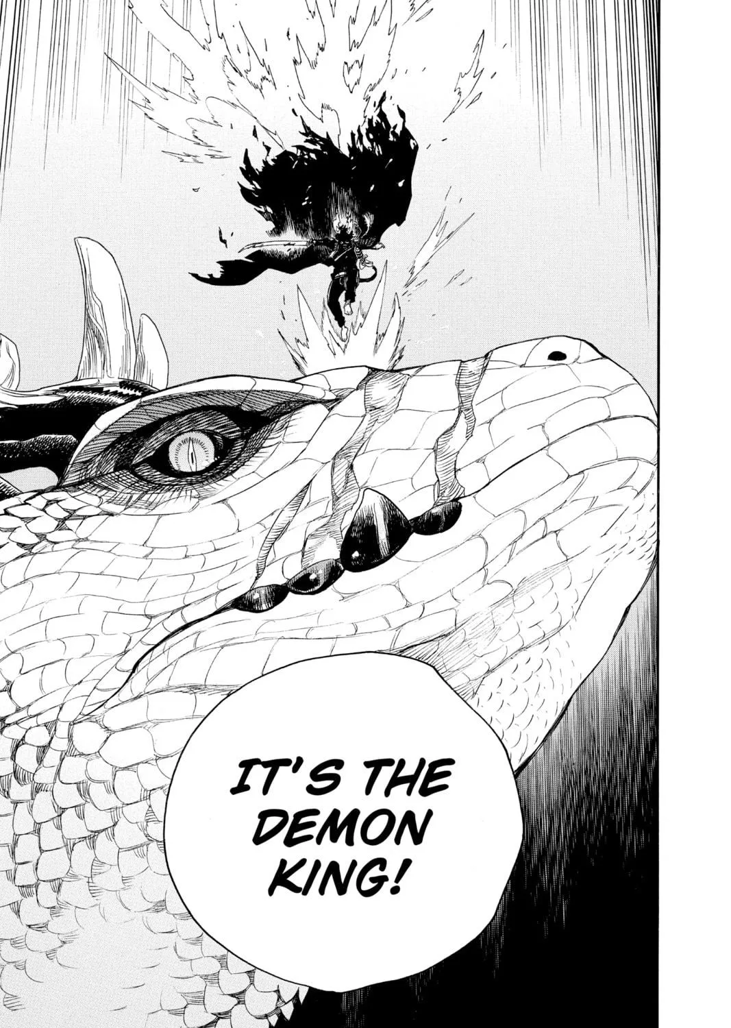 Read Blue Exorcist Manga Online