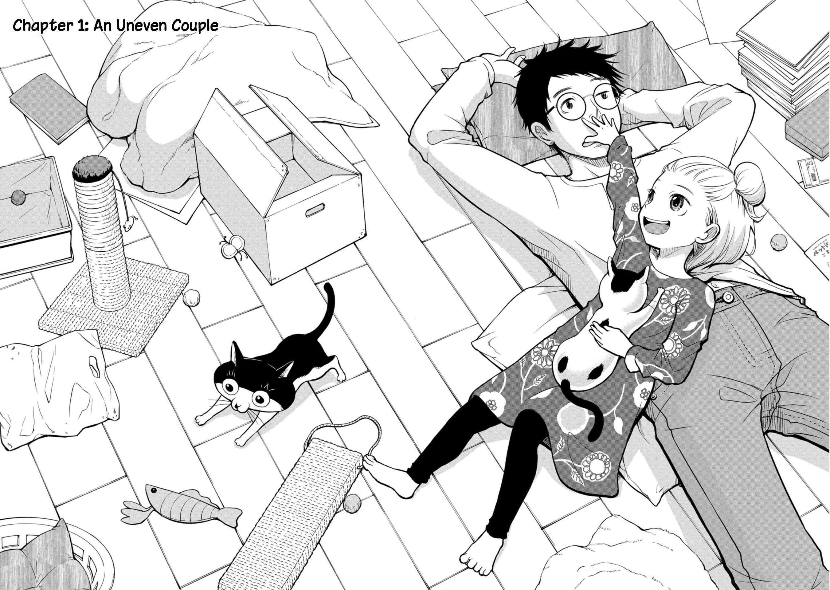 Read Boku no Tsuma wa Hattatsu Shougai Manga Online