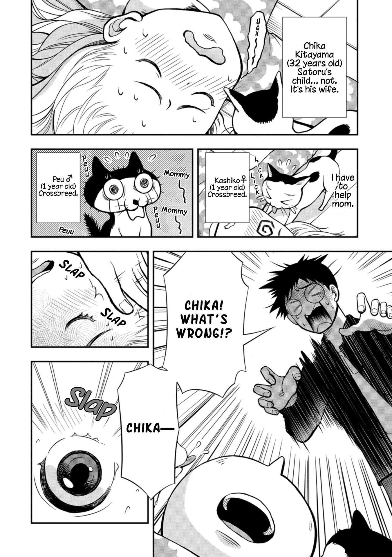 Read Boku no Tsuma wa Hattatsu Shougai Manga Online