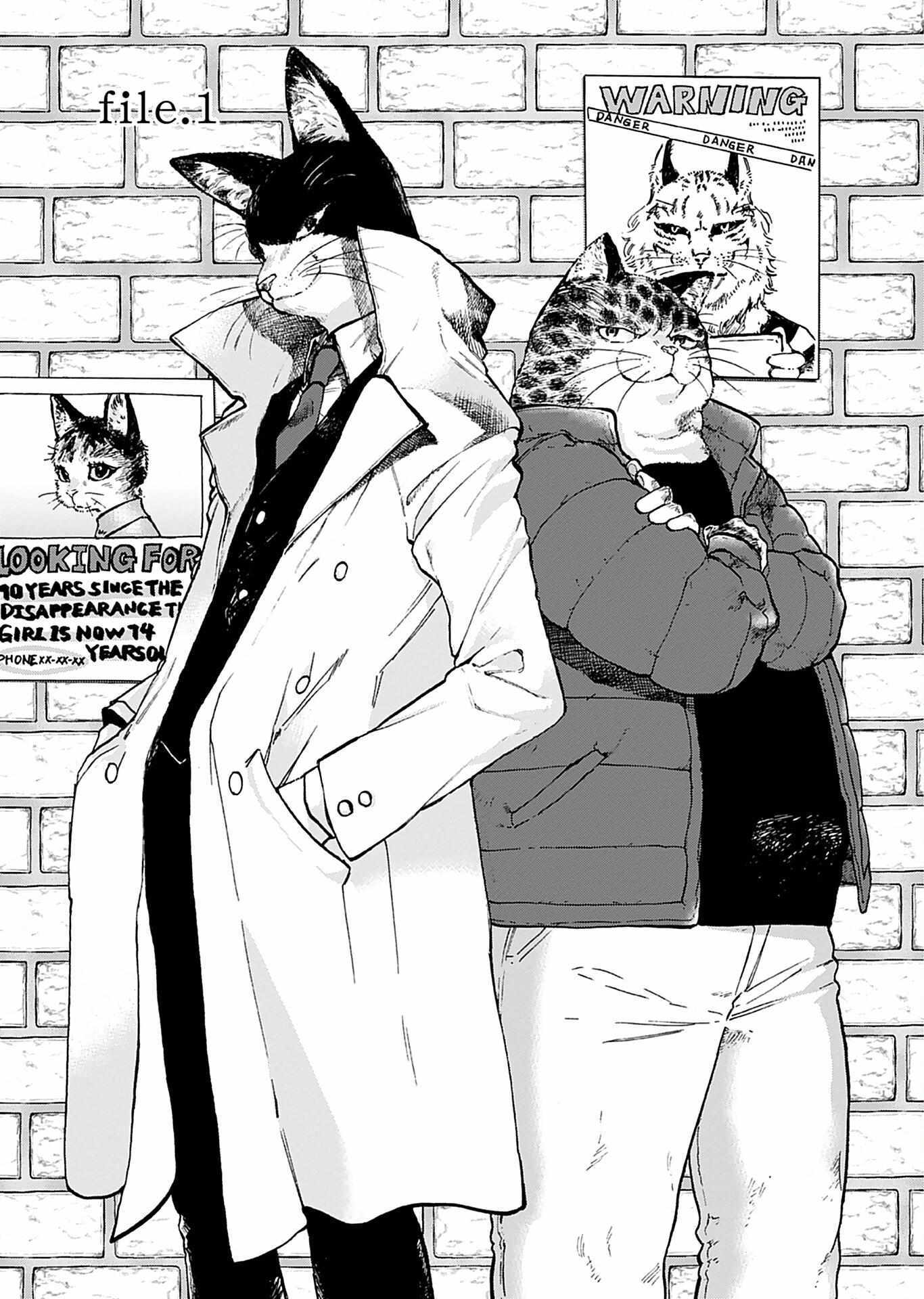 Read Buddy Cat Manga Online