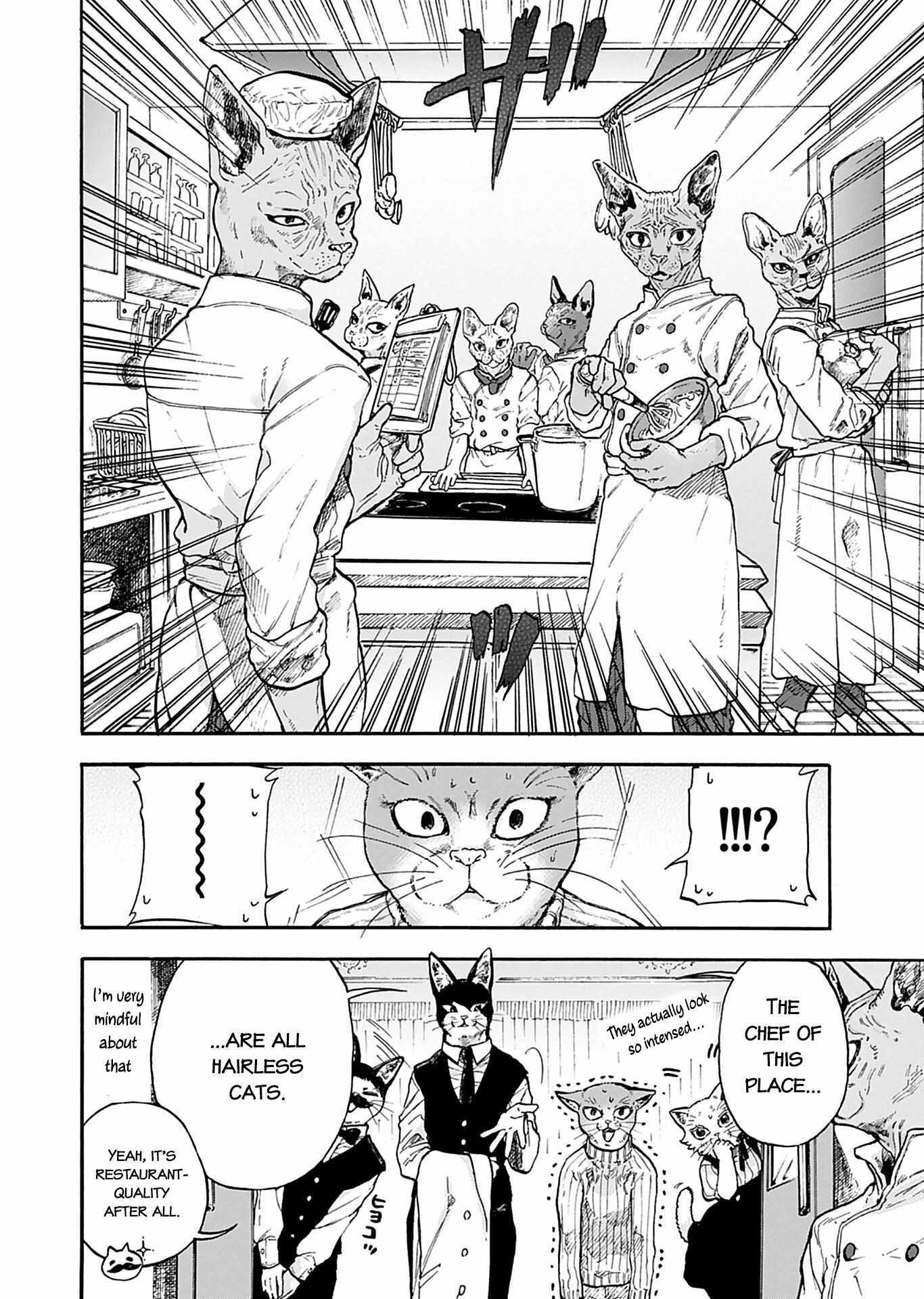Read Buddy Cat Manga Online