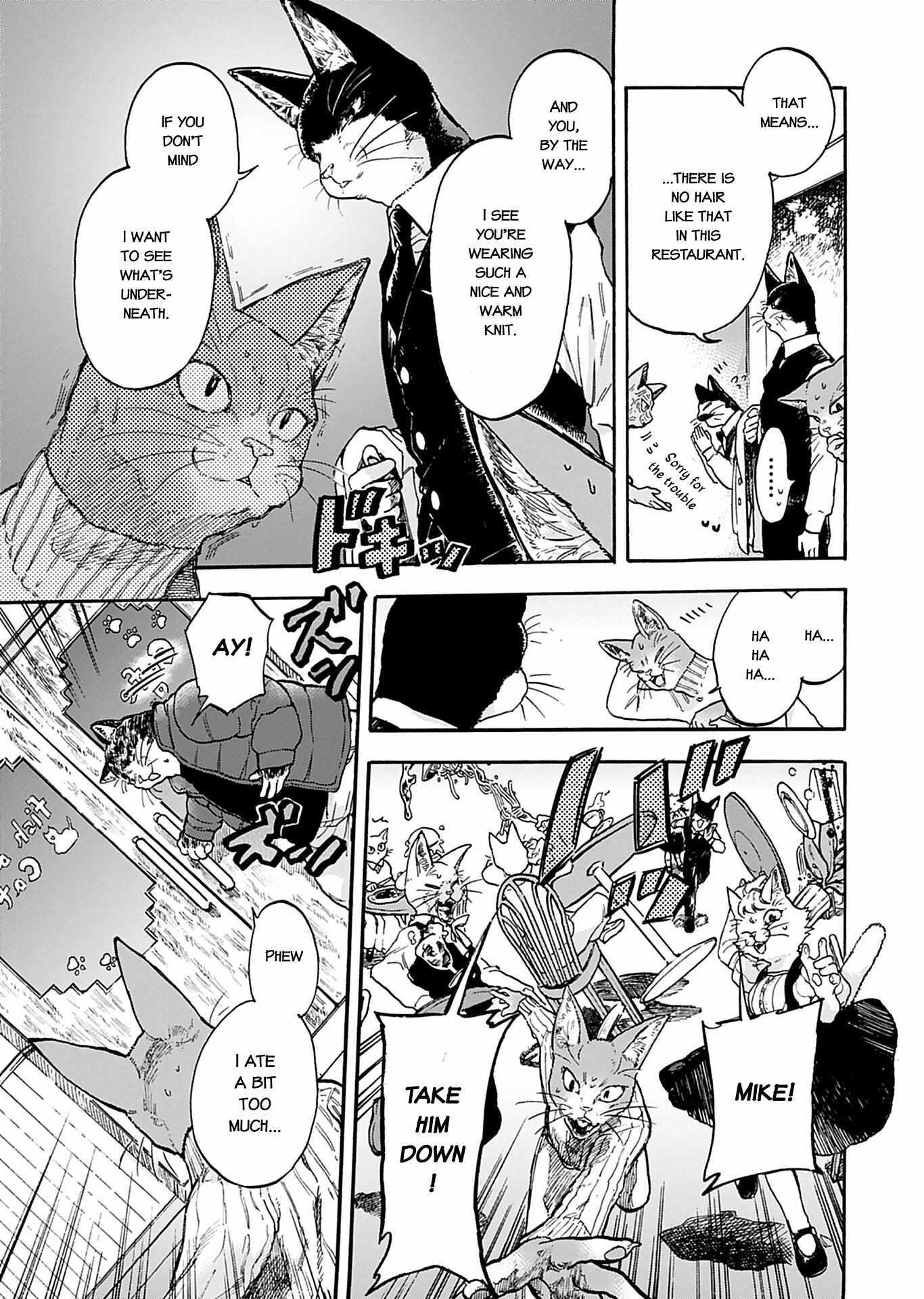 Read Buddy Cat Manga Online