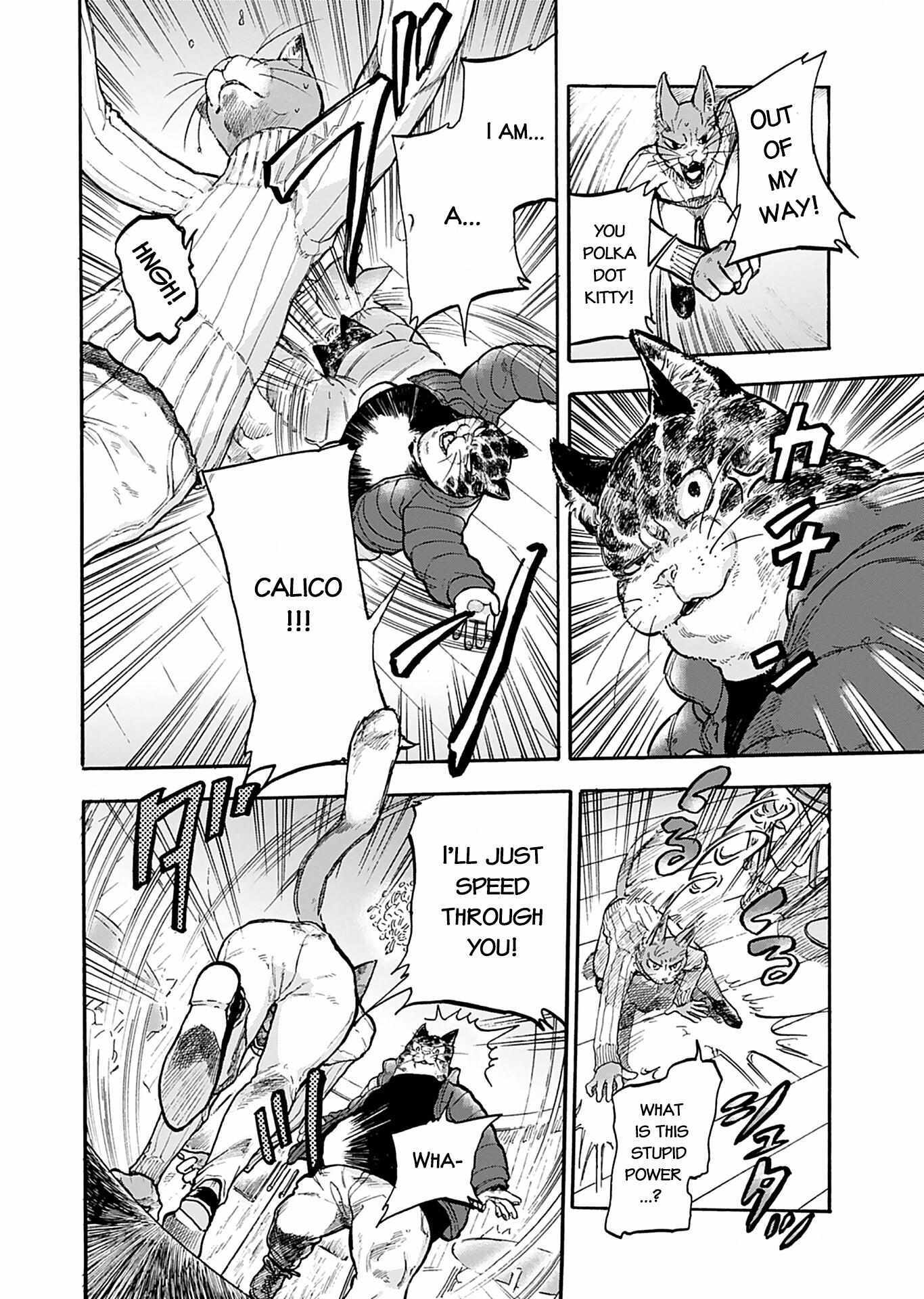 Read Buddy Cat Manga Online