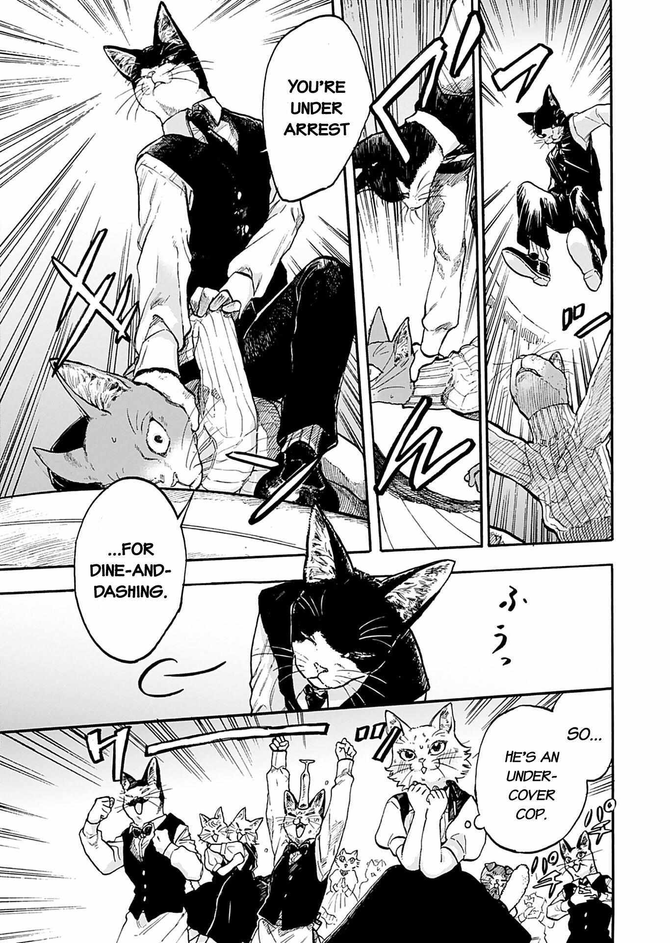 Read Buddy Cat Manga Online