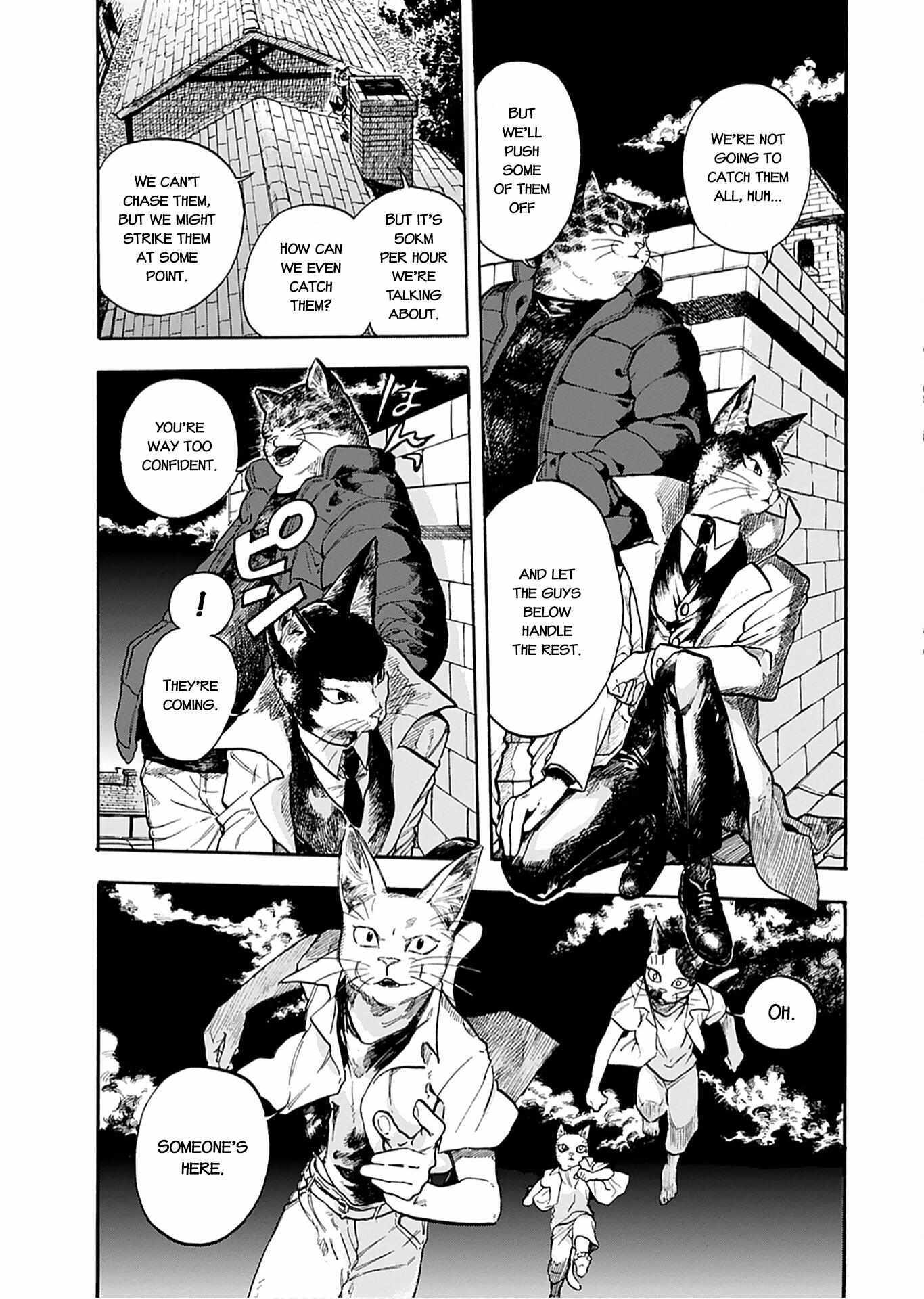 Read Buddy Cat Manga Online