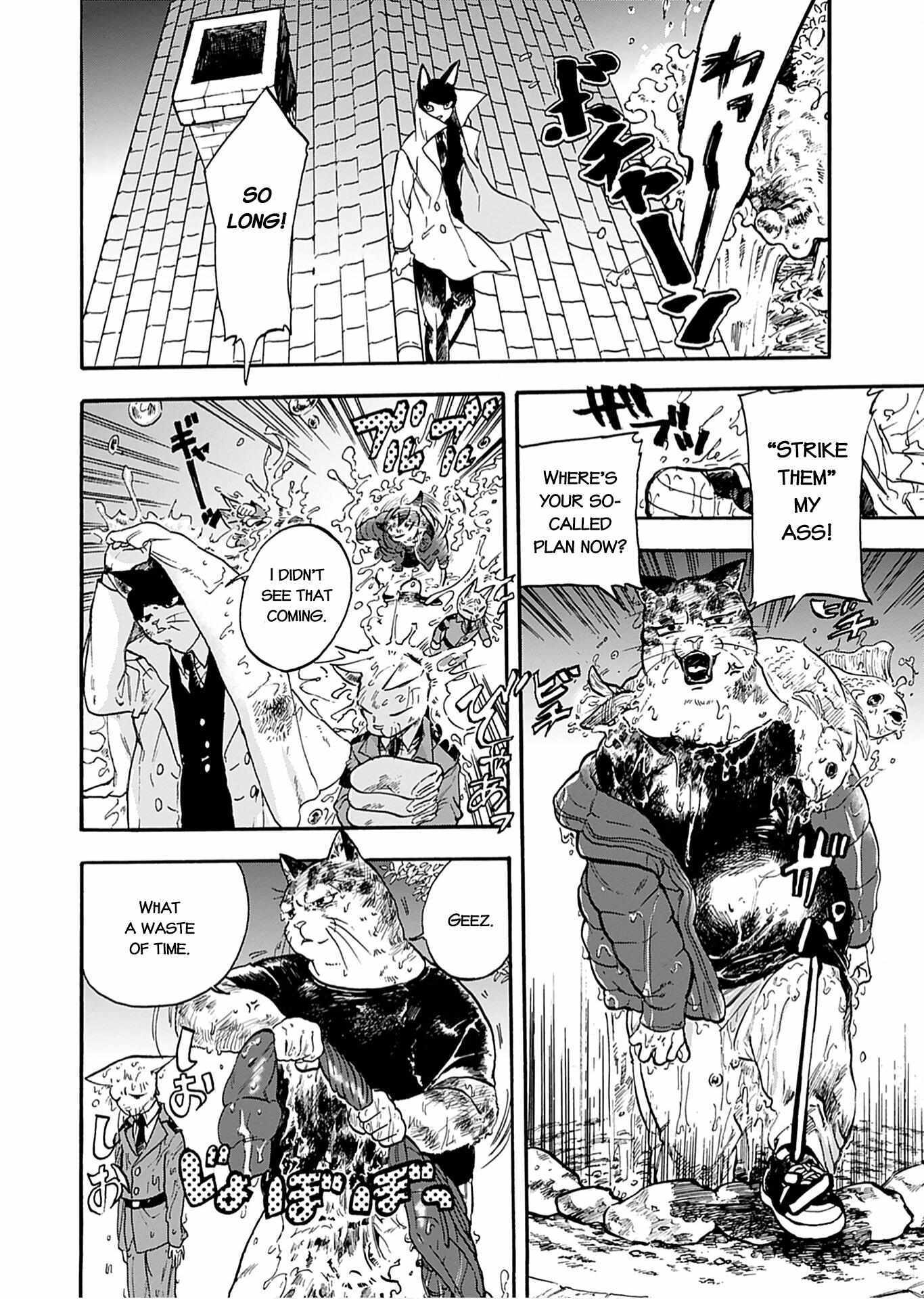 Read Buddy Cat Manga Online