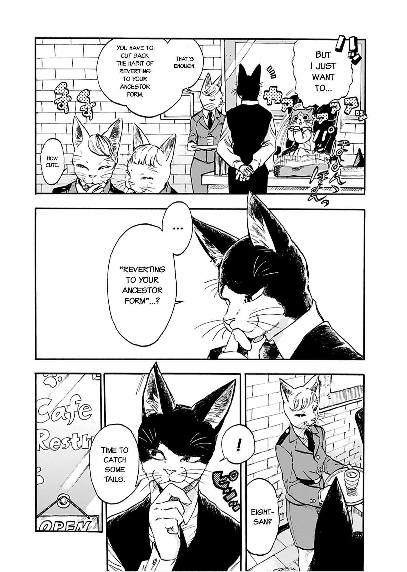 Read Buddy Cat Manga Online