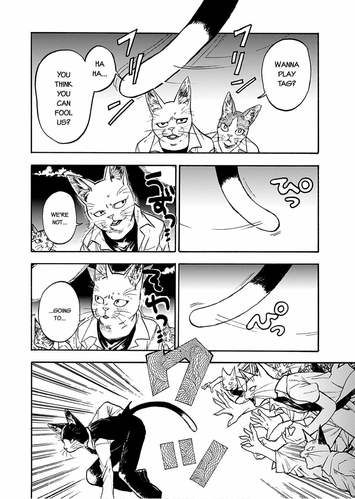 Read Buddy Cat Manga Online