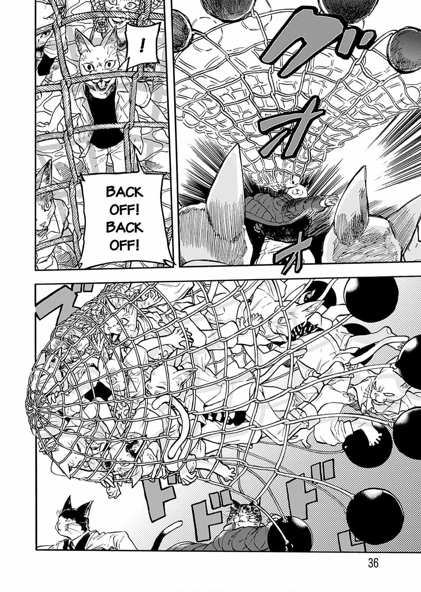 Read Buddy Cat Manga Online