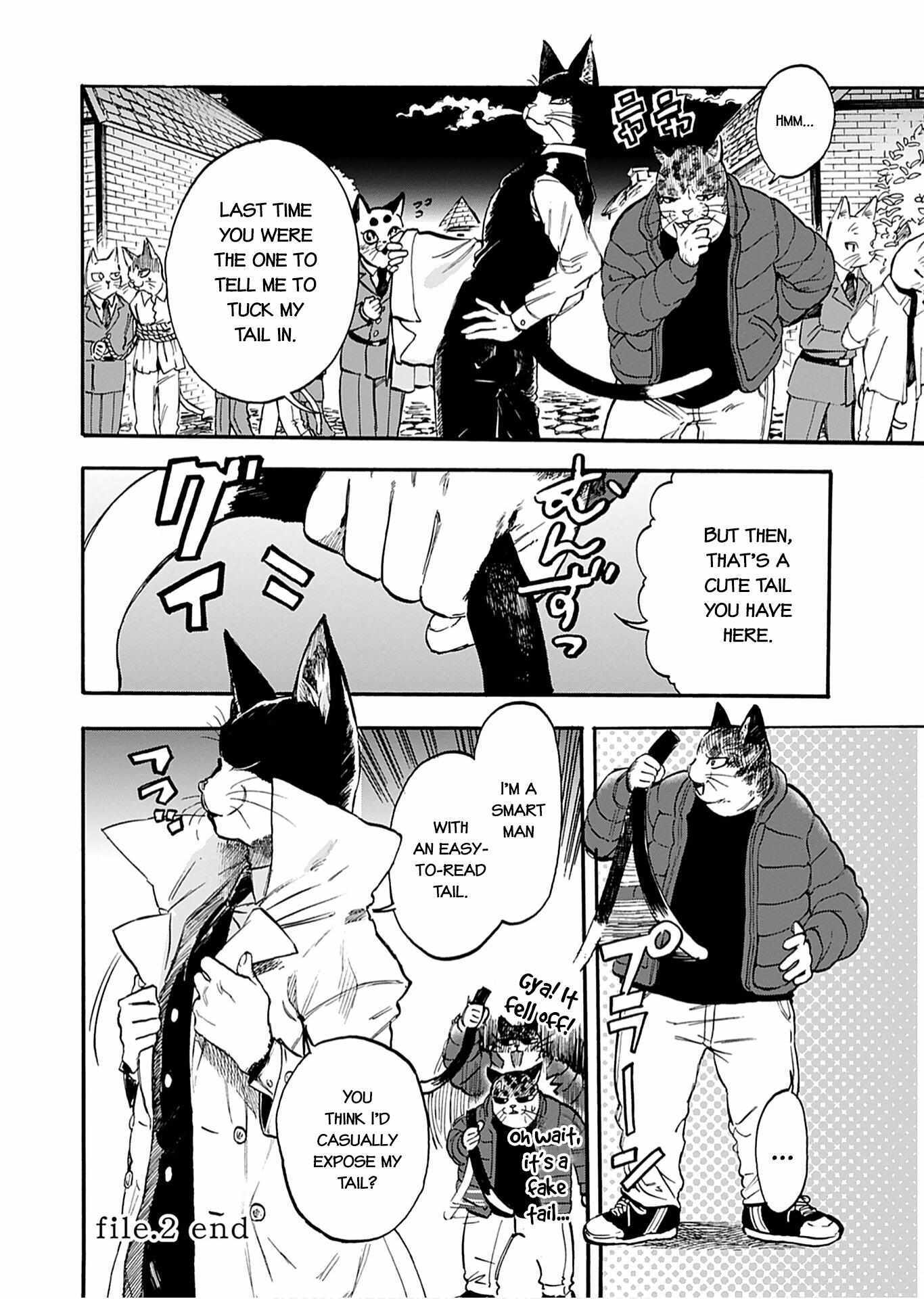 Read Buddy Cat Manga Online