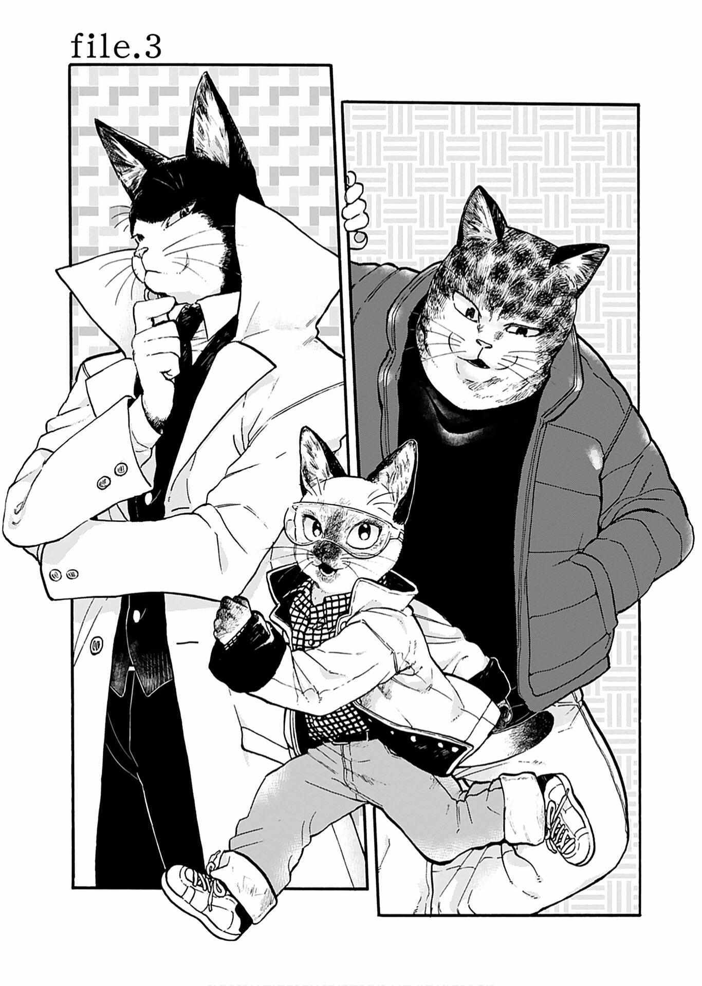 Read Buddy Cat Manga Online