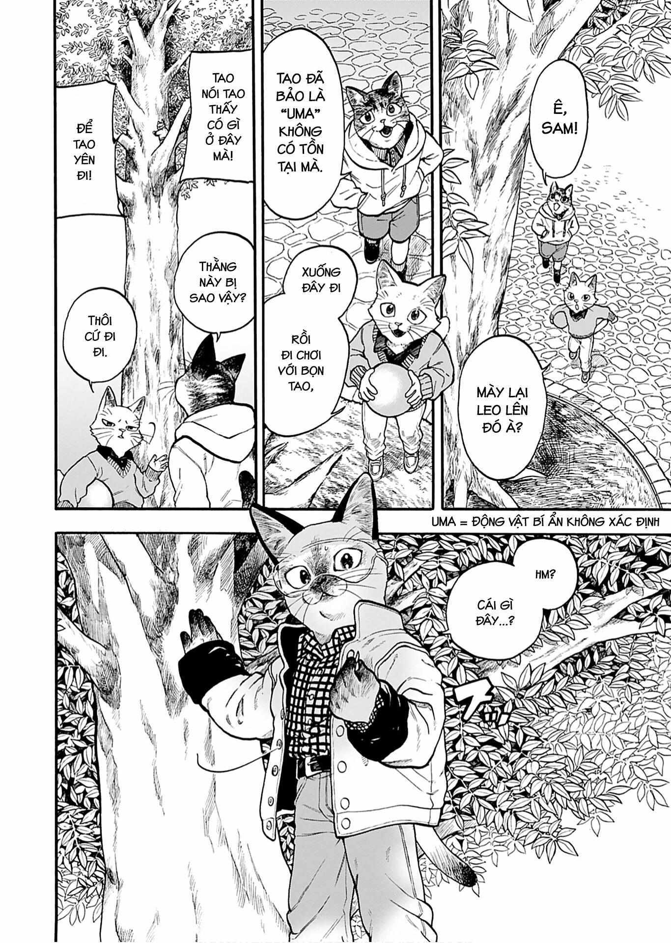 Read Buddy Cat Manga Online