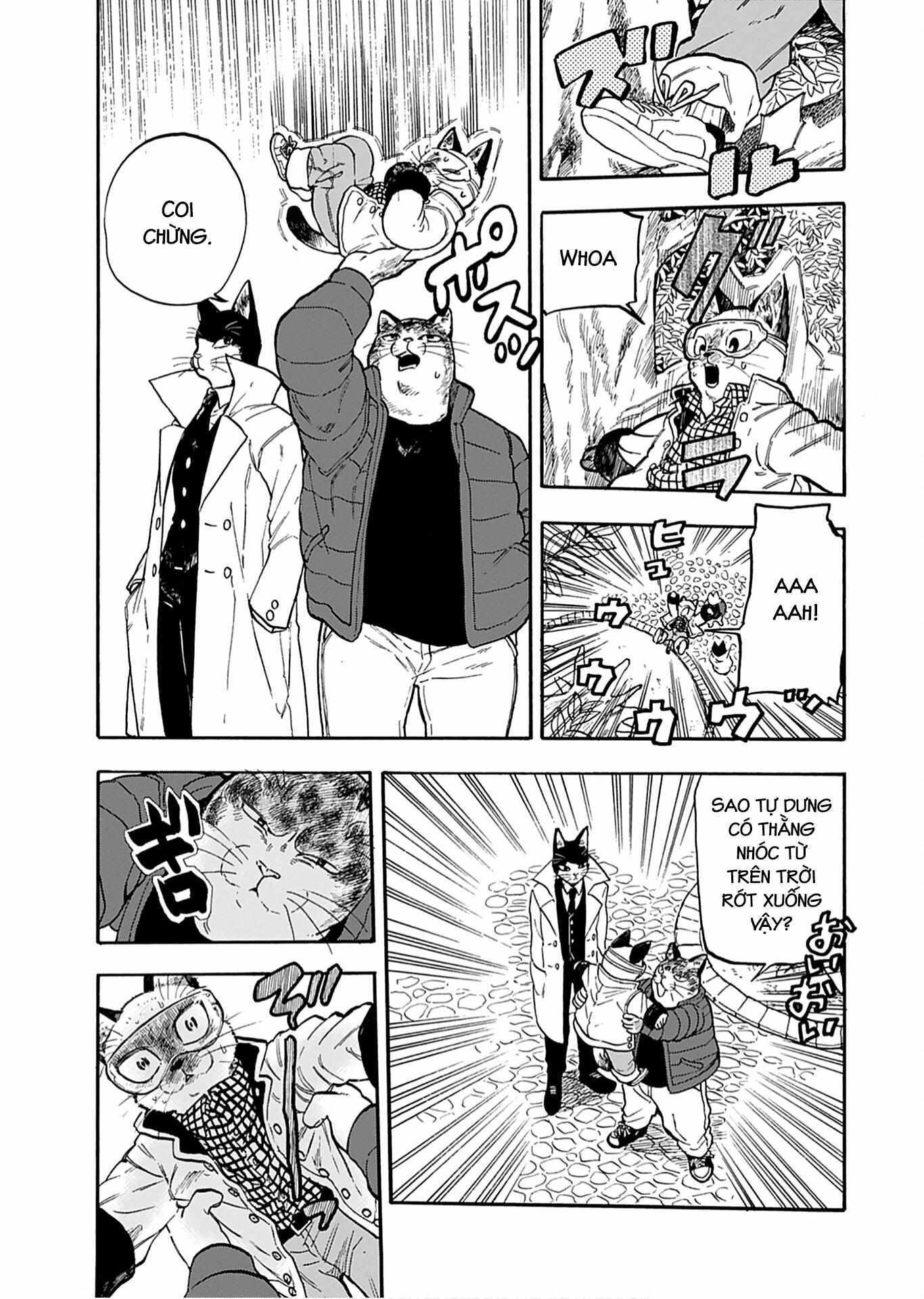 Read Buddy Cat Manga Online