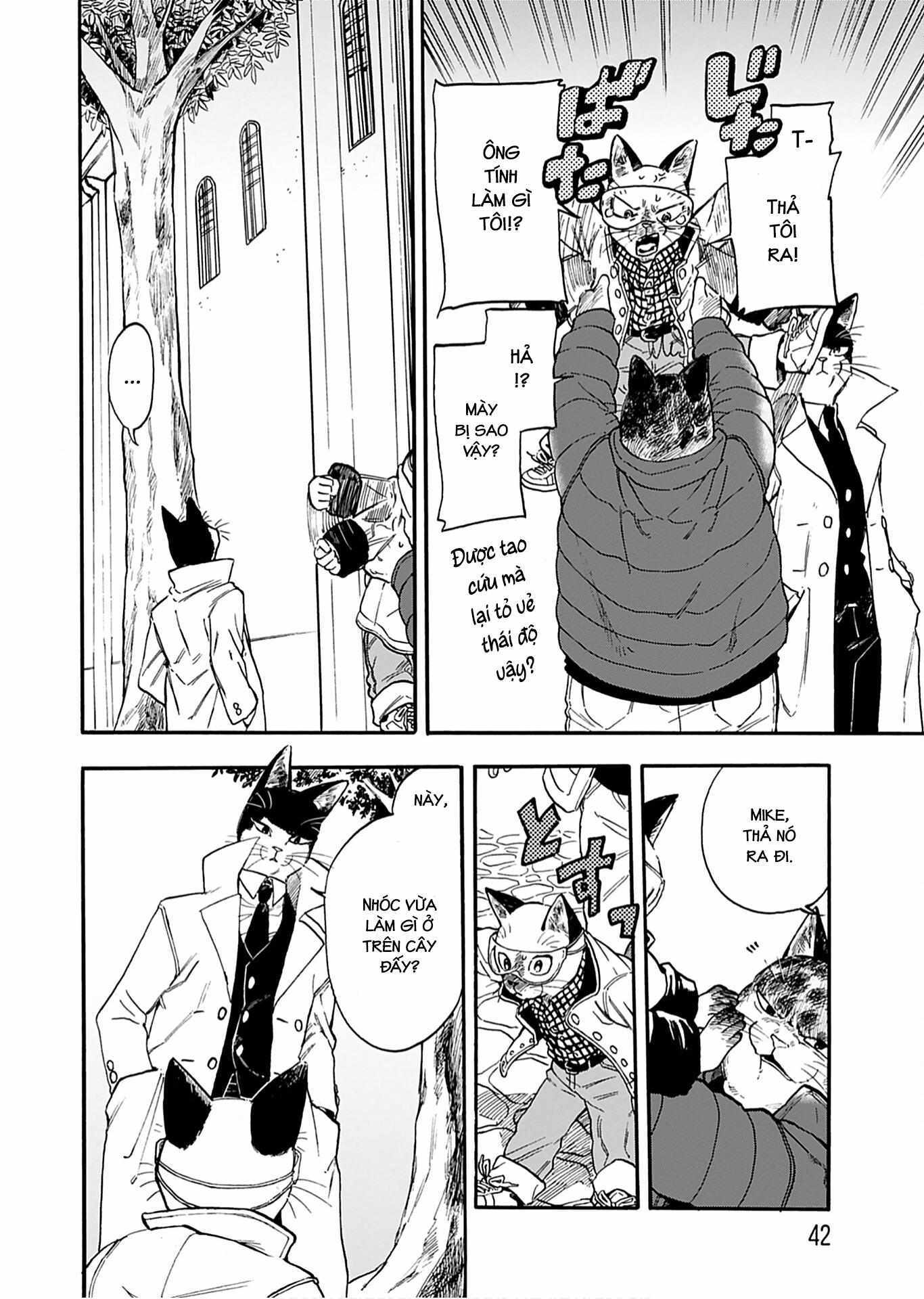 Read Buddy Cat Manga Online