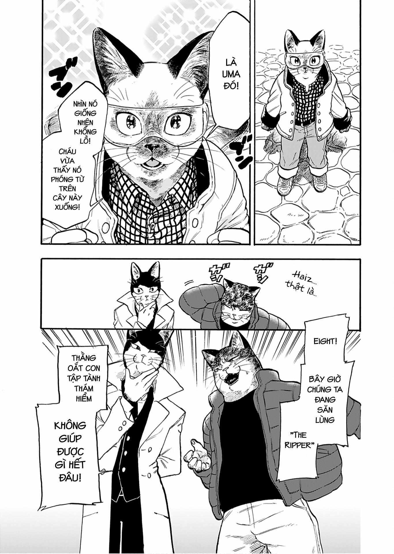 Read Buddy Cat Manga Online
